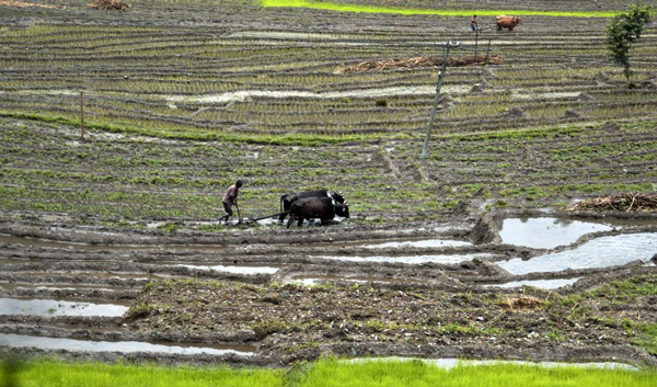 case study on organic farming in sikkim